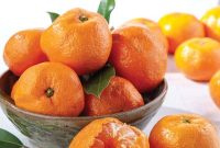 Satsuma Growing Regions: Where Satsumas Thrive and Ripen