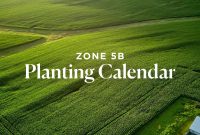 Zone 5b Planting Calendar: What to Plant by Month for Your Garden