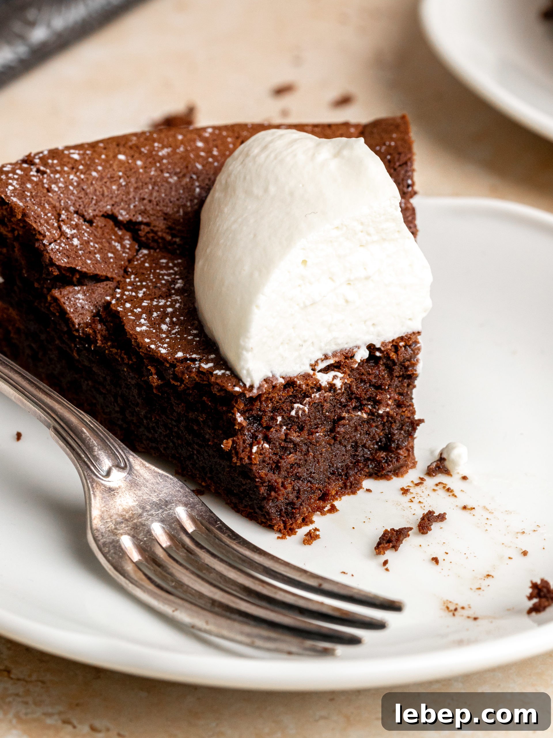 Flourless Chocolate Espresso Cake Recipe — Rich Gluten-Free Dessert 10 img 10081 10