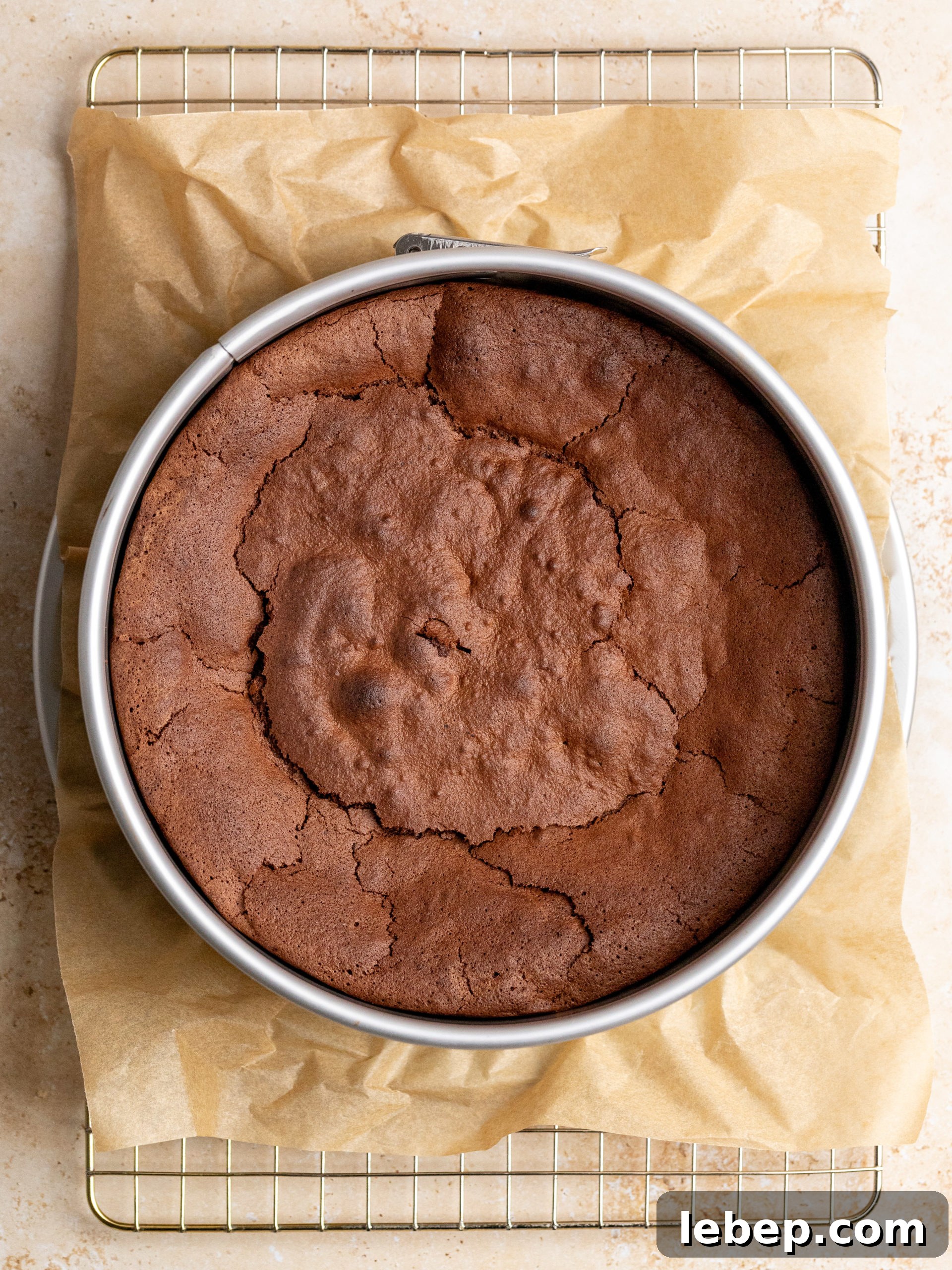 Flourless Chocolate Espresso Cake Recipe — Rich Gluten-Free Dessert 7 img 10081 7