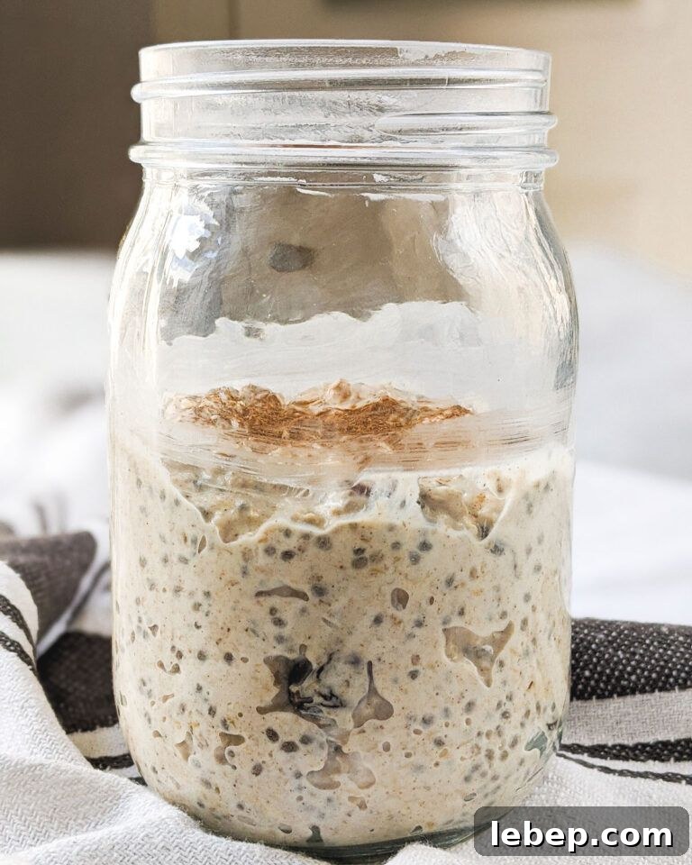 21 High-Protein Oatmeal Recipes for Muscle, Weight Loss & Energy 9 Cinnamon Protein Overnight Oats