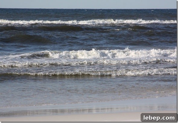 beach1 beach1