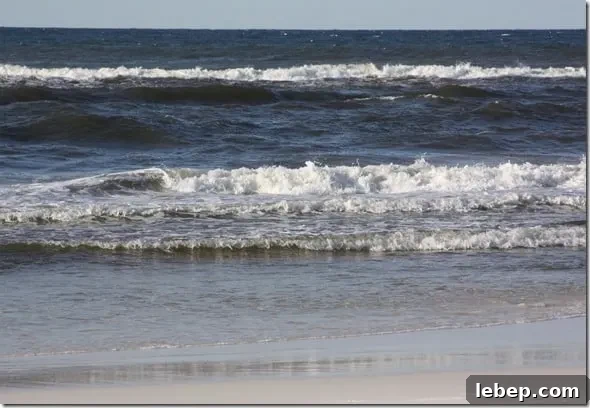 beach1 beach1