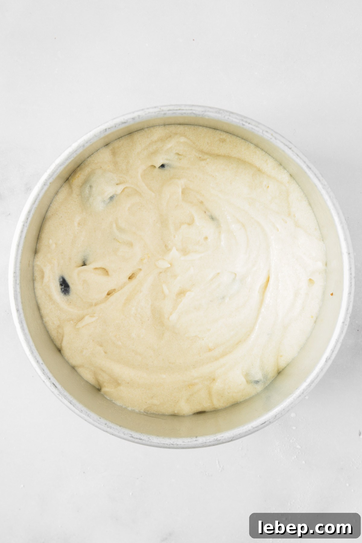 Blueberry Layer Cake Recipe for Moist, Fluffy Slices 8 moule avec pâte à génoise