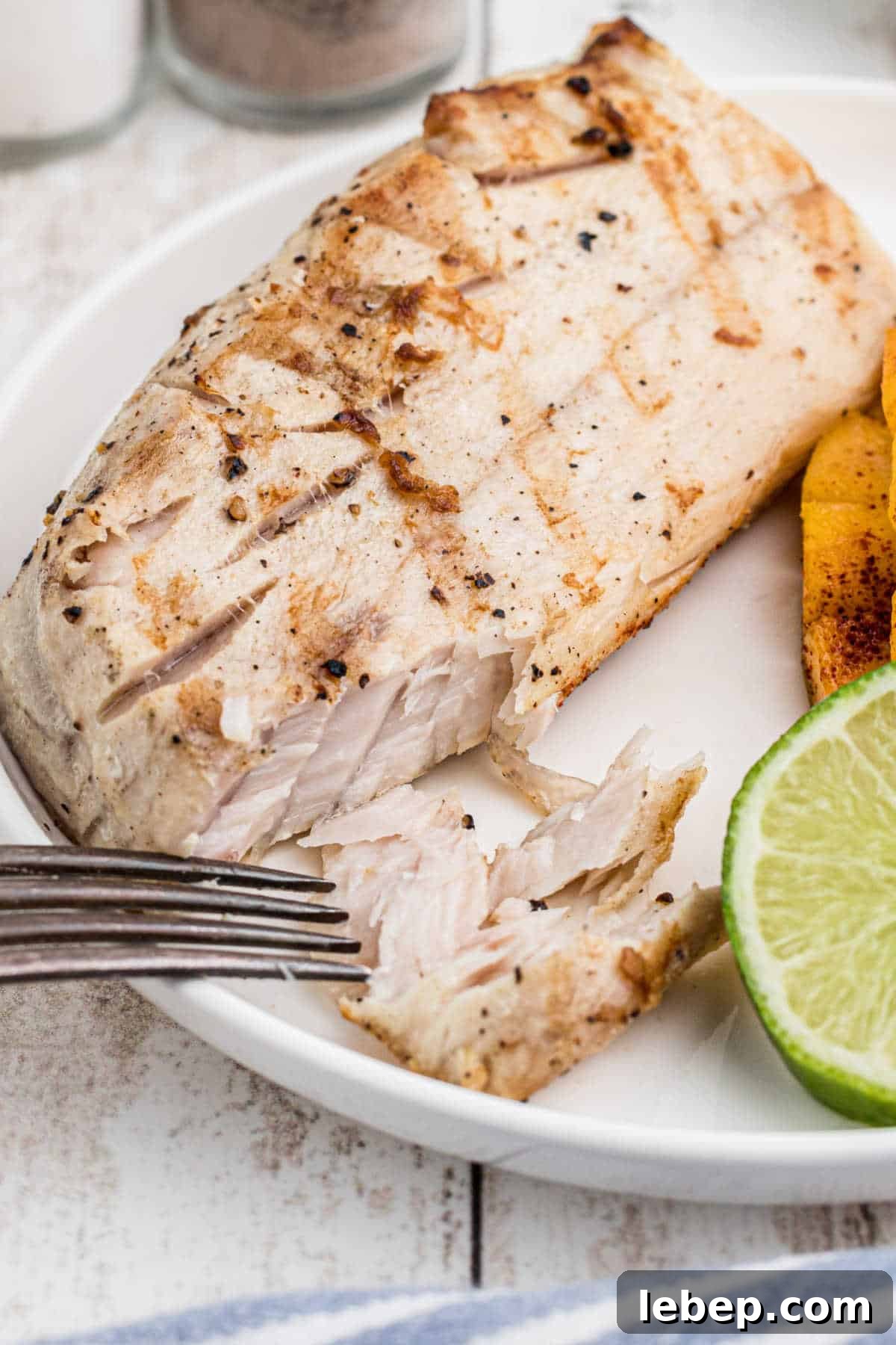 Close up shot of a piece of grilled cobia with a fork digging in.