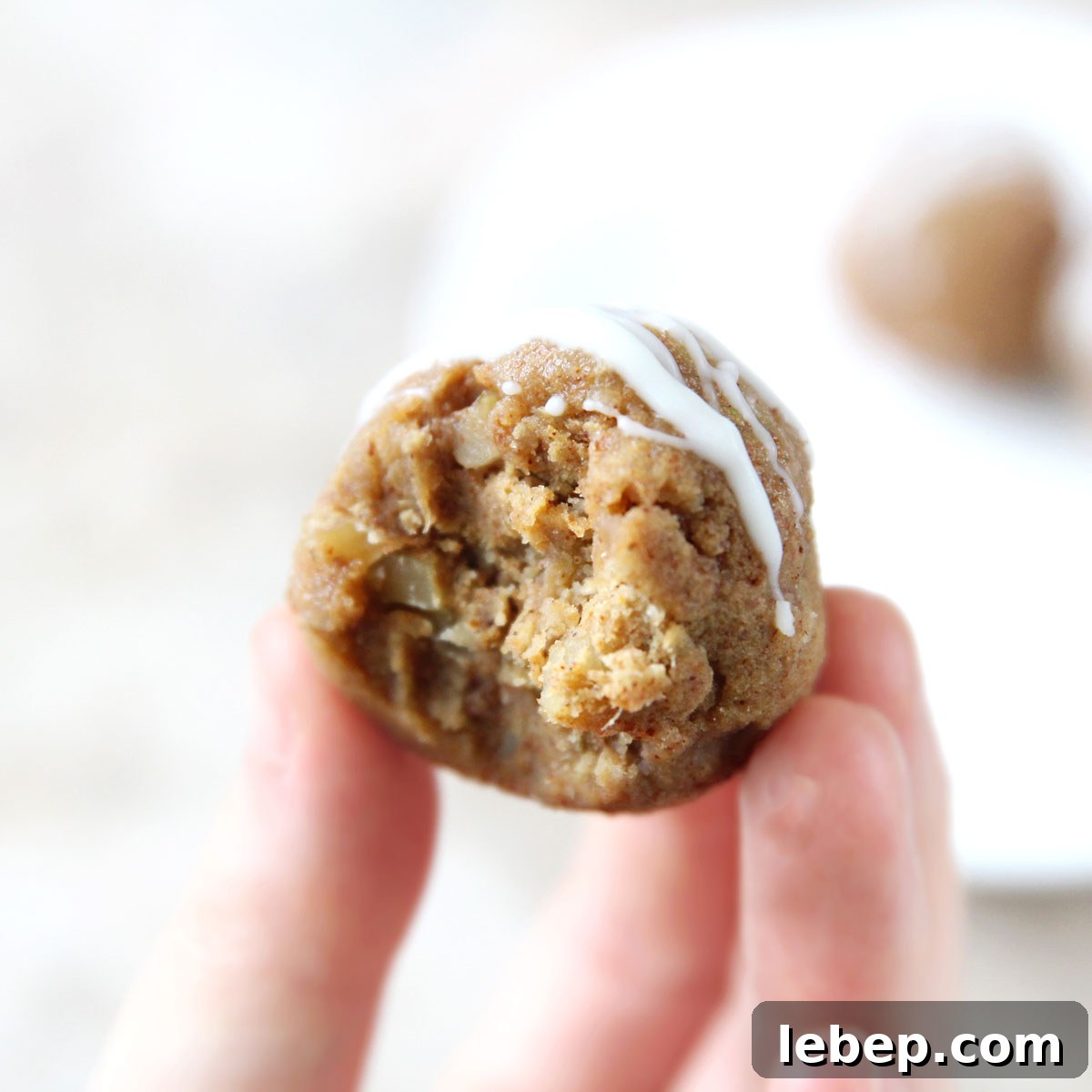 APPLE PIE PROTEIN BALLS (ENERGY BITES)
