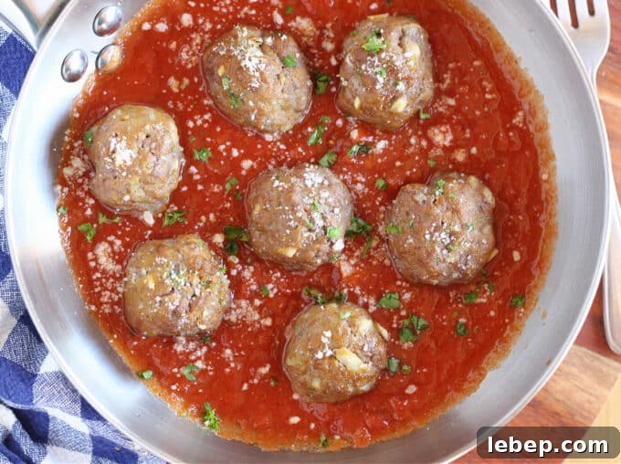 Overhead shot of meatballs in marinara sauce.