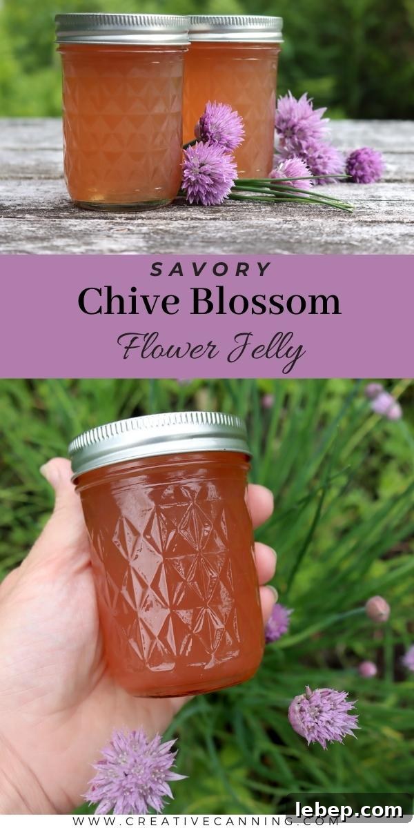 Chive Blossom Jelly: Savory Floral Preserving Recipe 6 Savory Chive Blossom Jelly
