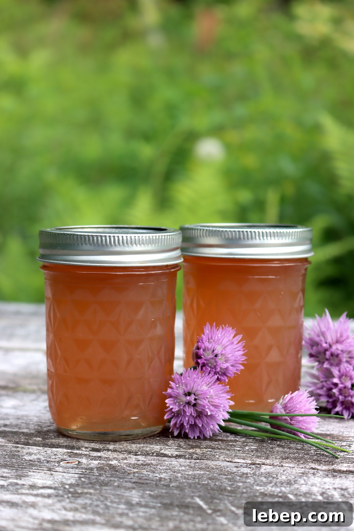 Chive Blossom Jelly: Savory Floral Preserving Recipe 4 Chive Blossom Jelly