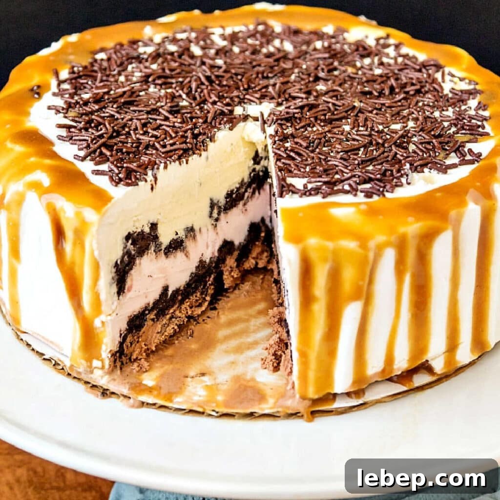 Celebrate with a Homemade Birthday Ice Cream Cake Recipe 2 An ice cream cake cut to show layers of different flavors of ice cream separated by crushed cookies.