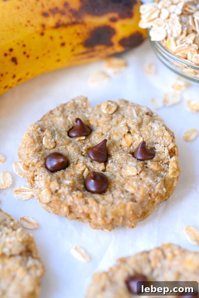 Banana Oatmeal Cookies with 2 Ingredients: Simple Homemade Recipe 2 2 Ingredient Banana Oatmeal Cookies