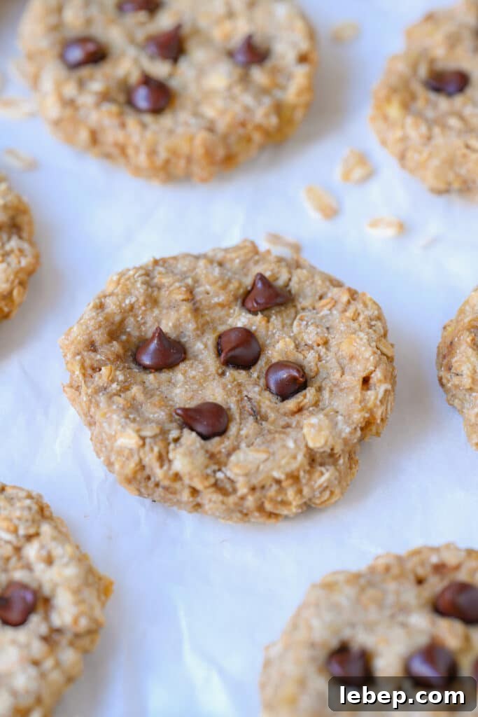 Banana Oatmeal Cookies with 2 Ingredients: Simple Homemade Recipe 4 Banana Oat Cookies with 2 Ingredients