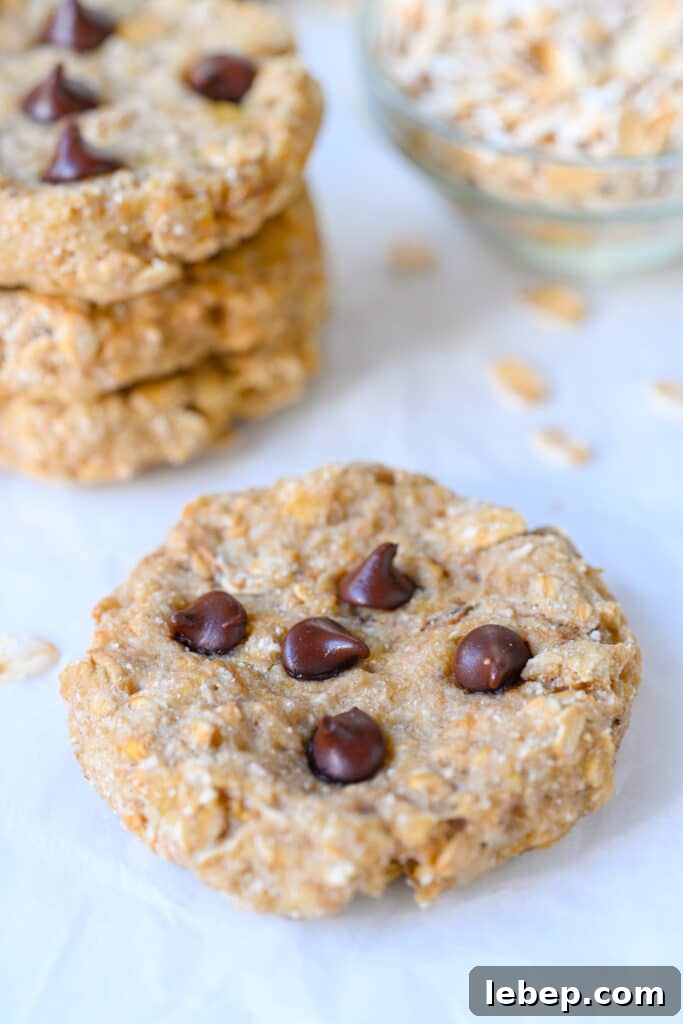 Banana Oatmeal Cookies with 2 Ingredients: Simple Homemade Recipe 5 2 Ingredient Banana Oatmeal Cookies Recipe