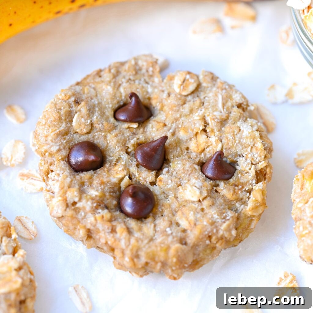 Banana Oatmeal Cookies with 2 Ingredients: Simple Homemade Recipe 6 Banana Oatmeal Cookies with Chocolate Chips
