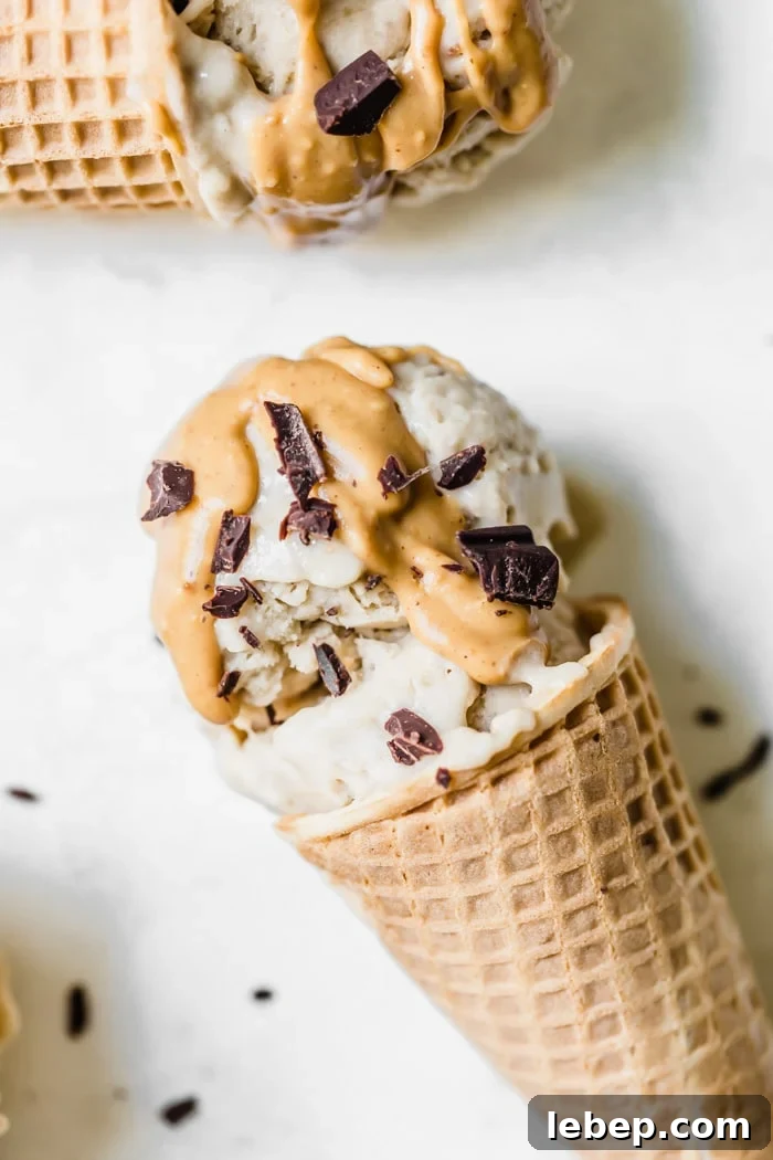 2-Ingredient Banana Nice Cream Recipe — Creamy Frozen Treat 2 banana ice cream