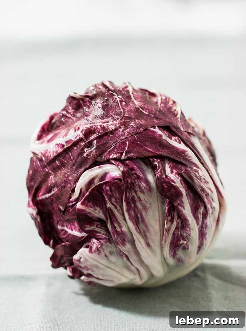 Vegan Gluten-Free Alfredo Pasta with Sautéed Radicchio 4 An entire head of red or maroon radicchio on a light background.