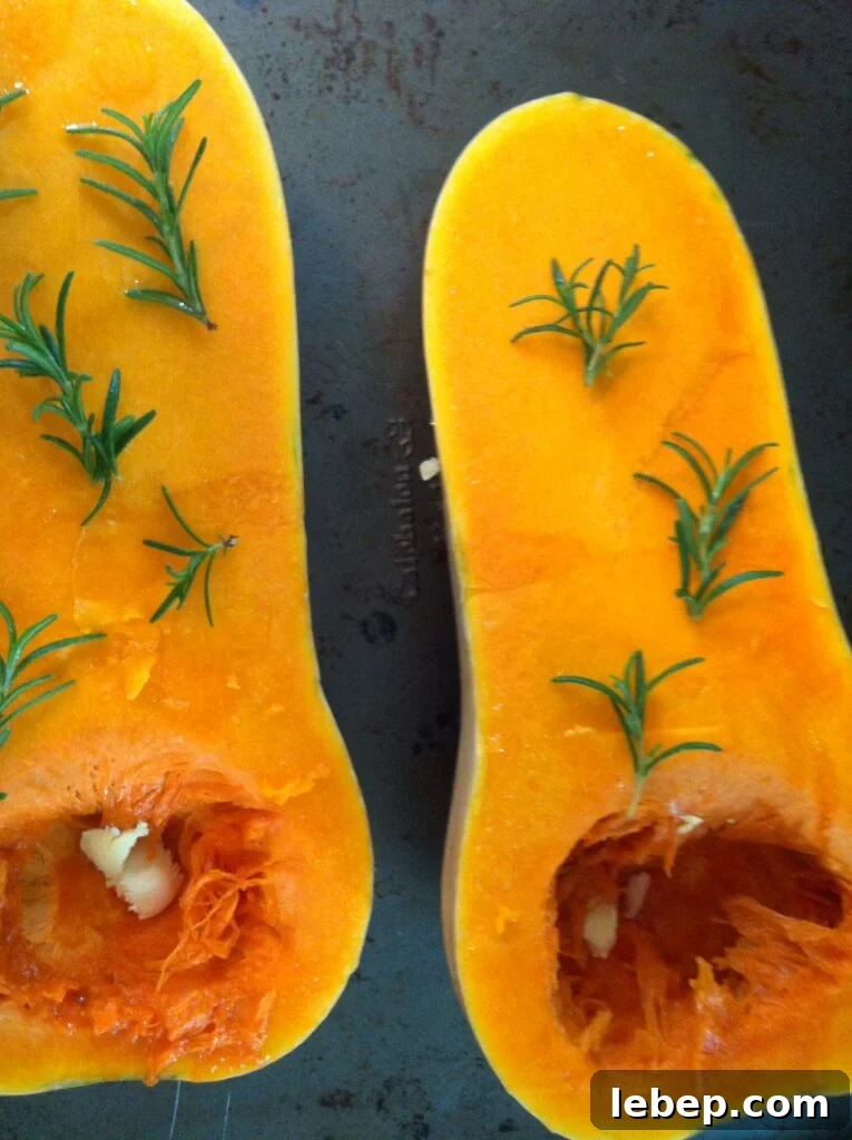 rosemary - Roasted Butternut Squash Soup