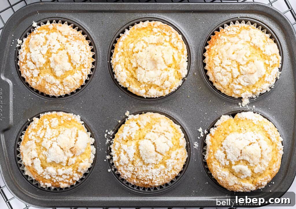 6 slot muffin tin with baked streusel topped muffins