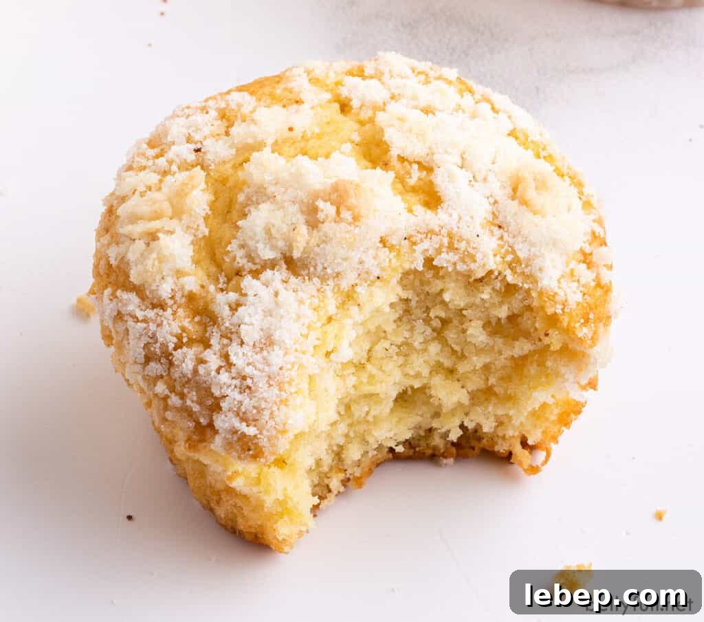 eggnog muffin with bite taken