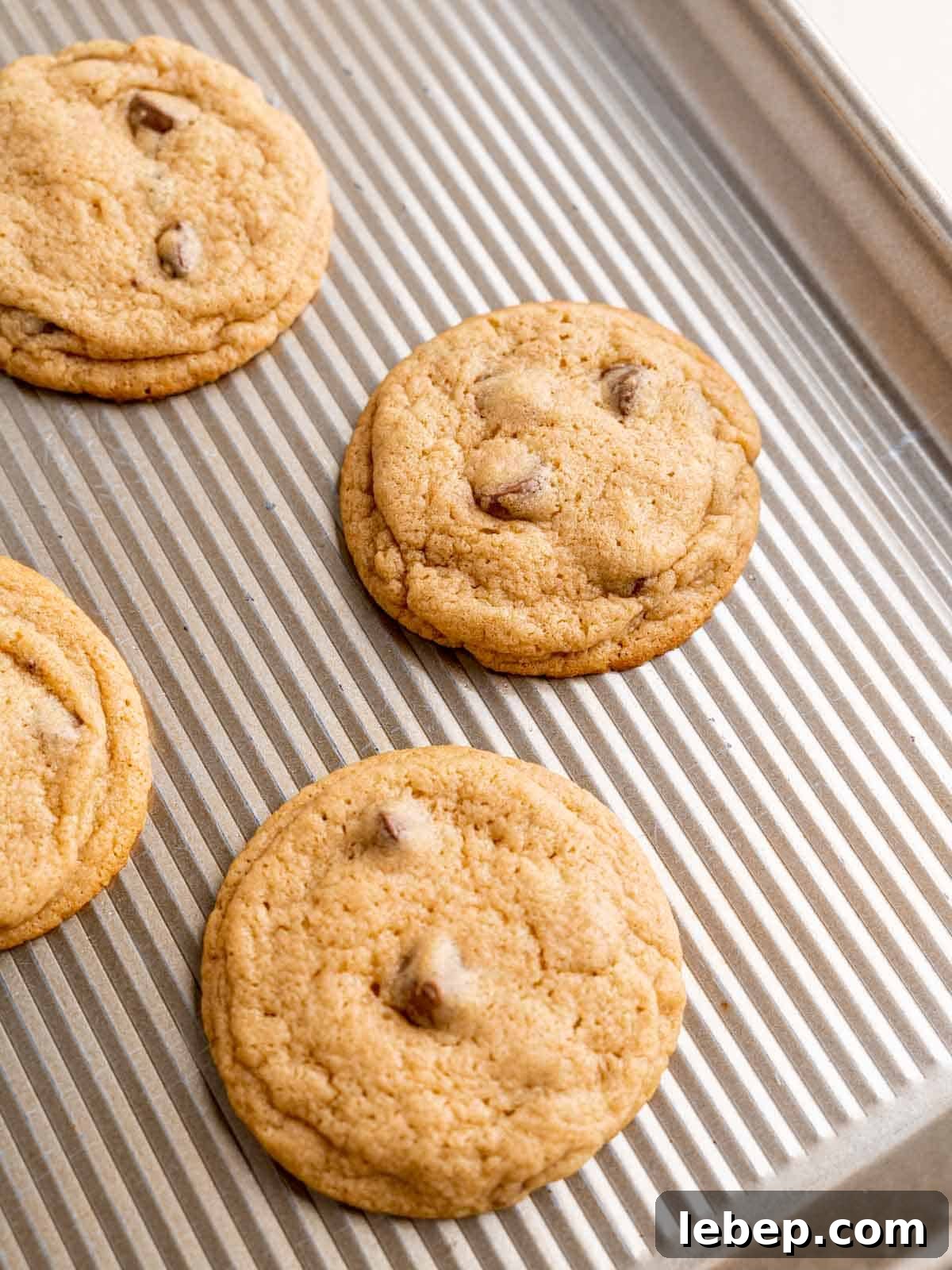 Chewy Malted Milk Chocolate Chip Cookie Recipe 7 Baked chocolate chip malted milk cookies on a USA Pan half sheet.