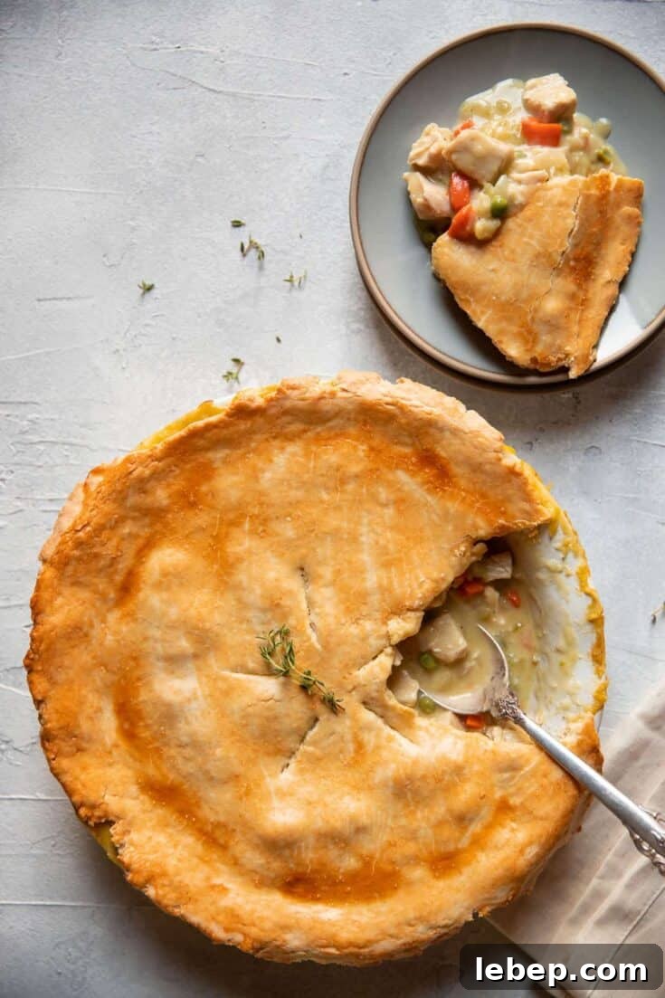 img 1778 11