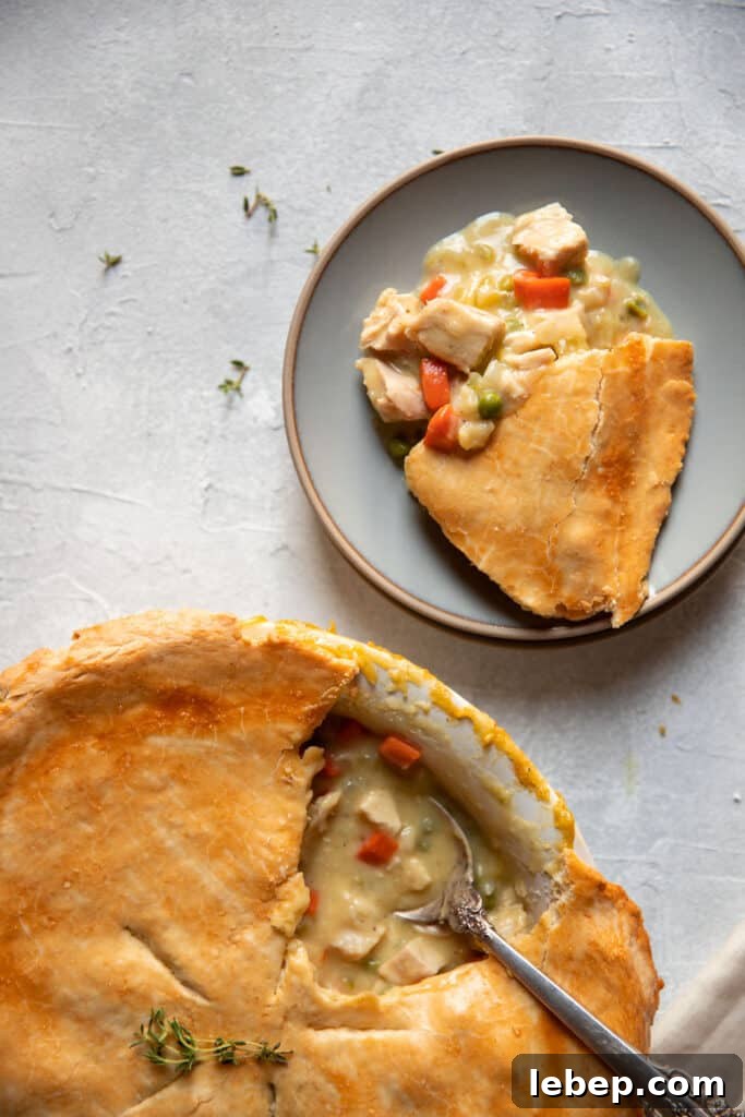 chicken pot pie in the dish and on a plate