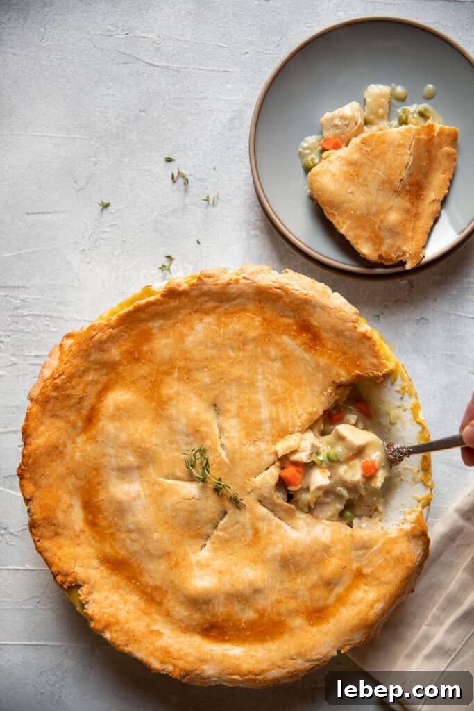 chicken pot pie being scooped with a spoon