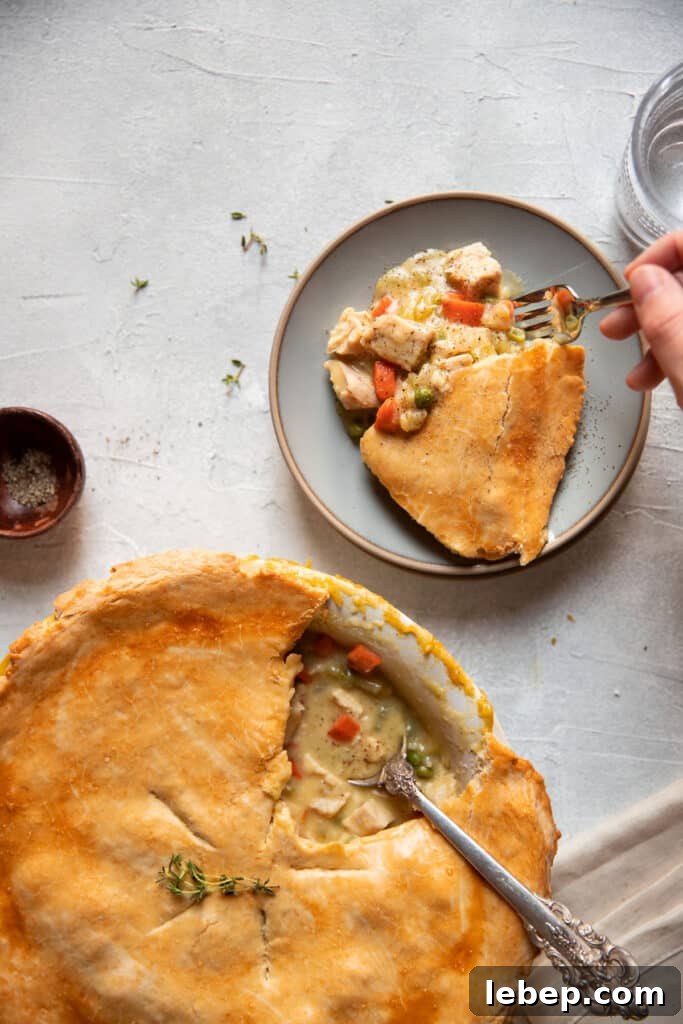chicken pot pie in the dish and on a plate
