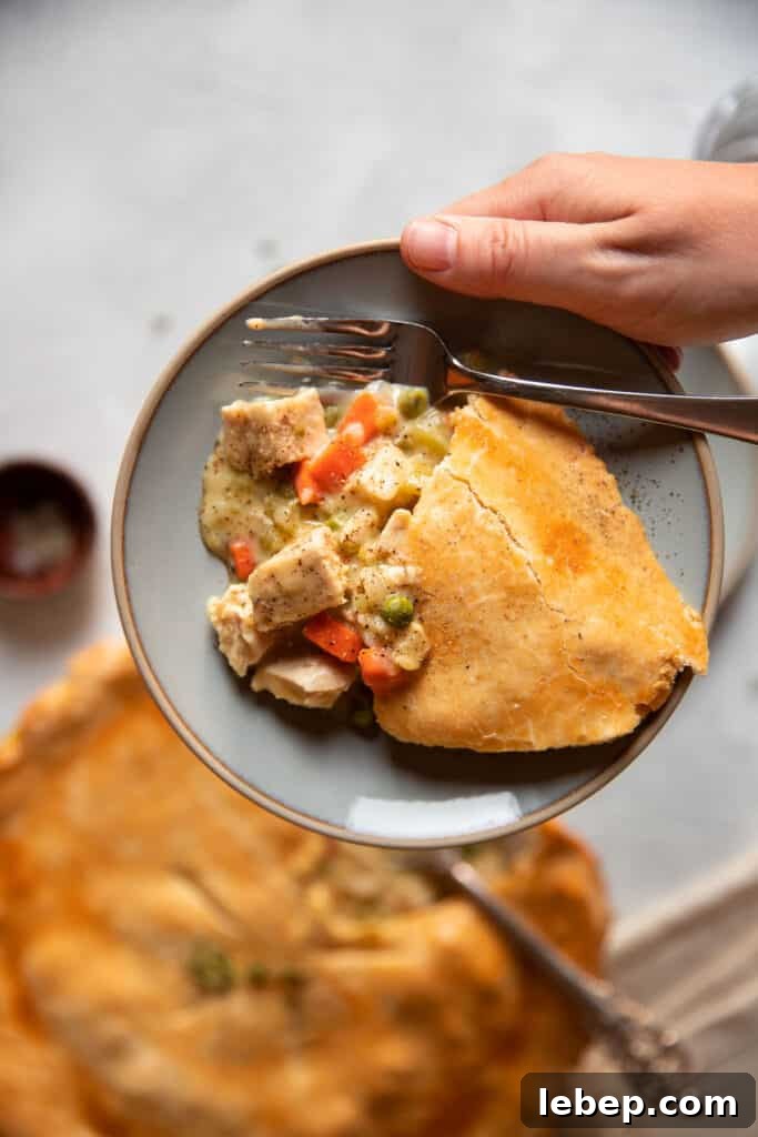 chicken pot pie in the dish and on a plate