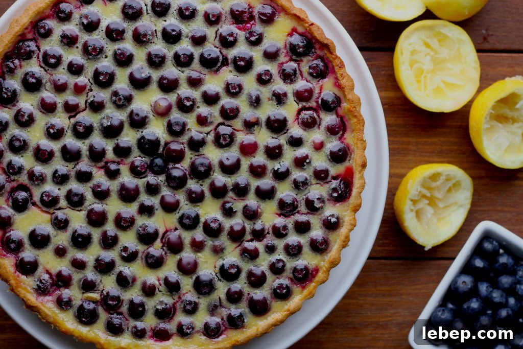 blueberry lemon tart
