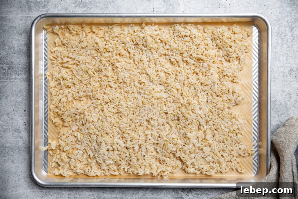 Cooked brown rice spread out on a parchment lined baking sheet. 