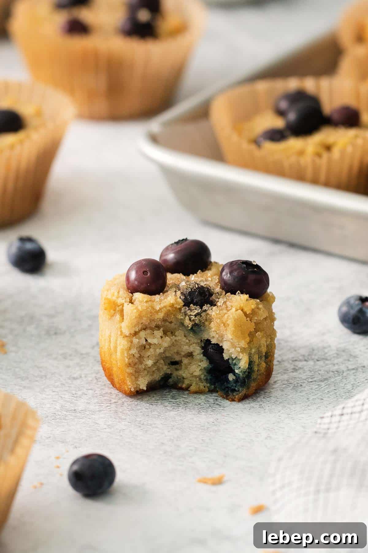 Low-Carb Coconut Flour Blueberry Muffins Recipe 5 A close-up photo of a blueberry muffin with a bite taken out of it.