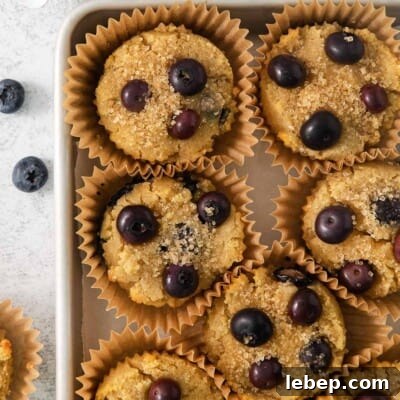 Low-Carb Coconut Flour Blueberry Muffins Recipe 6 A close-up photo of coconut flour blueberry muffins in a baking dish