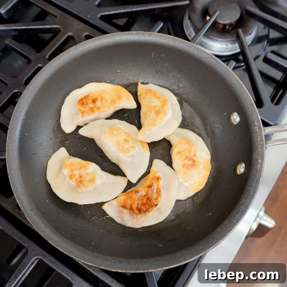Pan seared pulled pork pierogi.