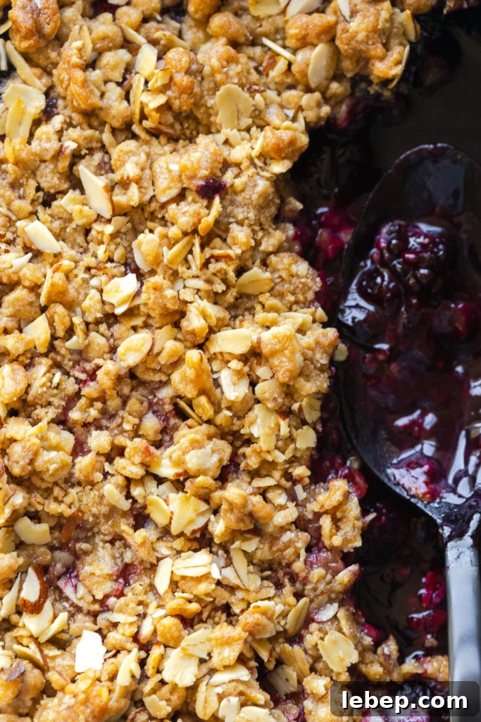 Mixed Berry Oat and Almond Crisp Recipe 18 Mixed Berry Oat Almond Crisp fault line