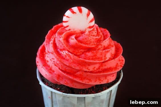 Peppermint Mocha Cupcakes Recipe | gimmesomeoven.com img 1954 1