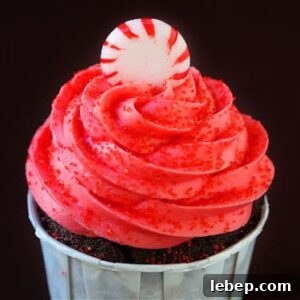 Peppermint Mocha Cupcakes with Chocolate Ganache and Espresso Kiss 2 img 1954 3