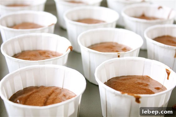 Peppermint Mocha Cupcake Recipe | gimmesomeoven.com img 1954 5