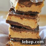 No-Bake Vegan Peanut Butter Cup Bars Recipe 5 img 19898 5