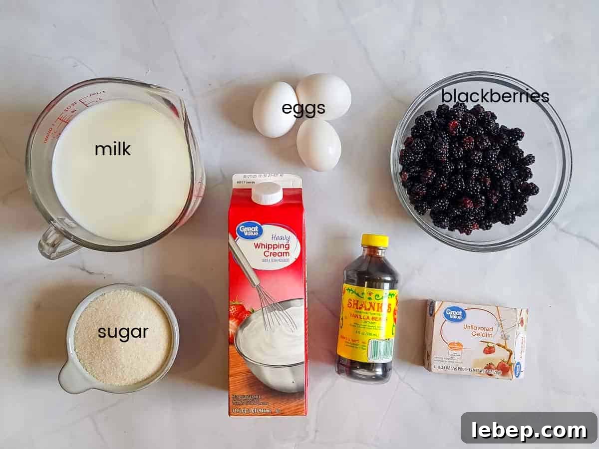 Creamy Amish Blackberry Ice Cream Recipe for Summer 2 Ingredients: milk, cream, sugar, eggs, vanilla, berries, and unflavored gelatin.