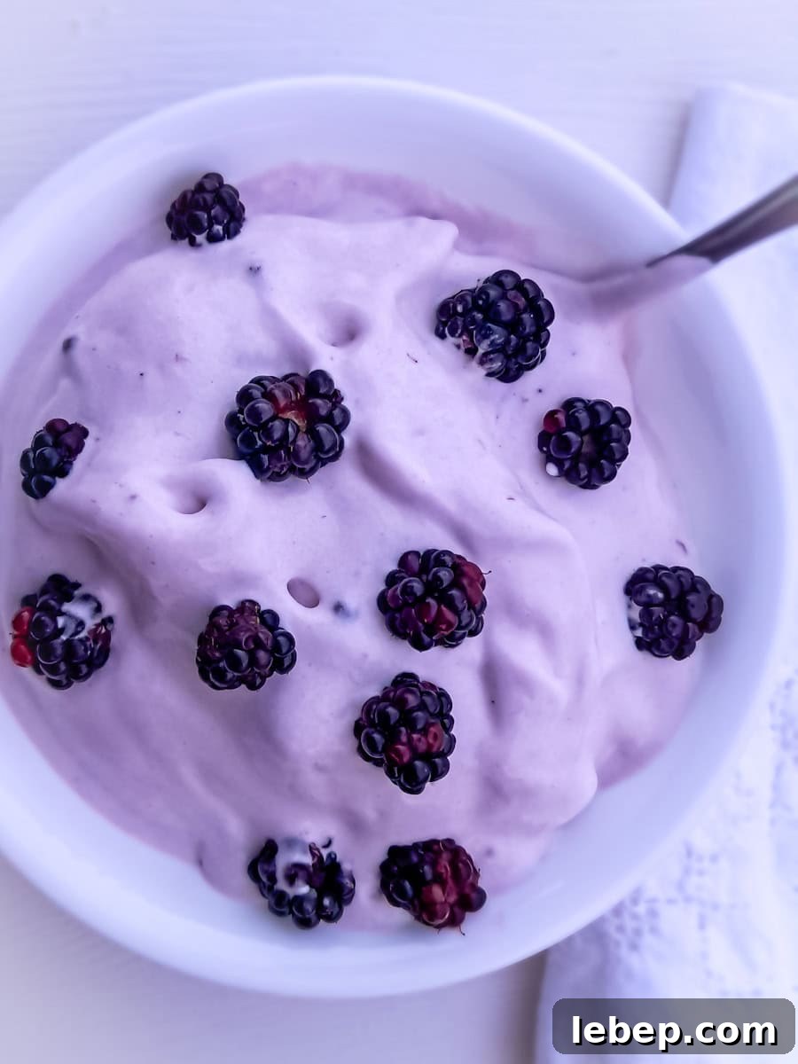 Creamy Amish Blackberry Ice Cream Recipe for Summer 11 a bowl of soft serve Amish blackberry ice cream with extra blackberries on top.