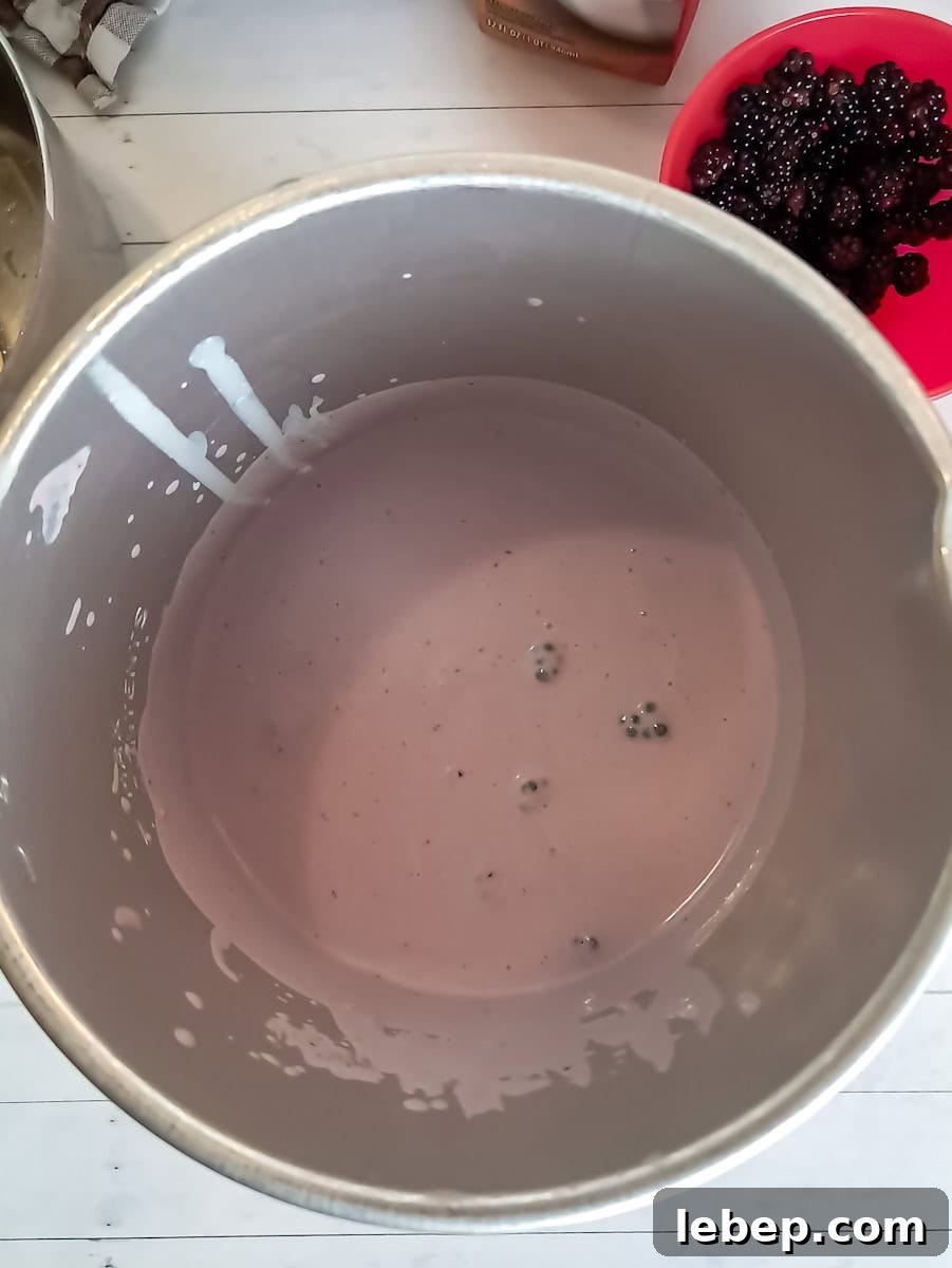 Creamy Amish Blackberry Ice Cream Recipe for Summer 8 getting ready to churn the homemade ice cream.