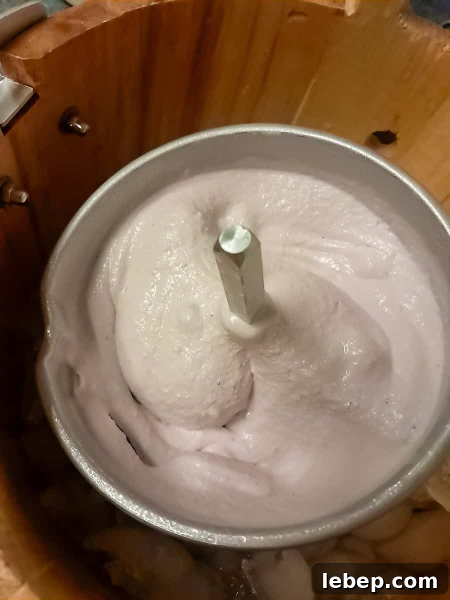 Creamy Amish Blackberry Ice Cream Recipe for Summer 10 tub full of blackberry ice cream just finished churning.