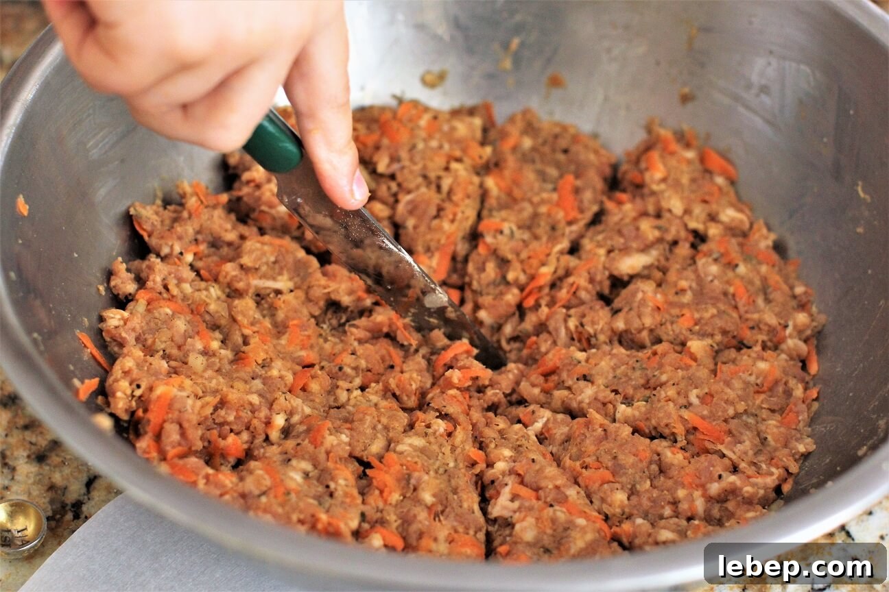 Make Sausage Patties at Home with Kids: Kid-Friendly Recipe and Tips 6 pat the meat down and divide it