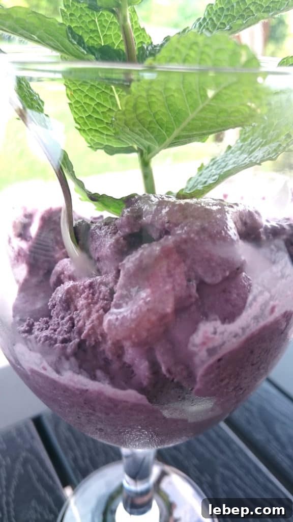 sugar free mulberry mint ice cream