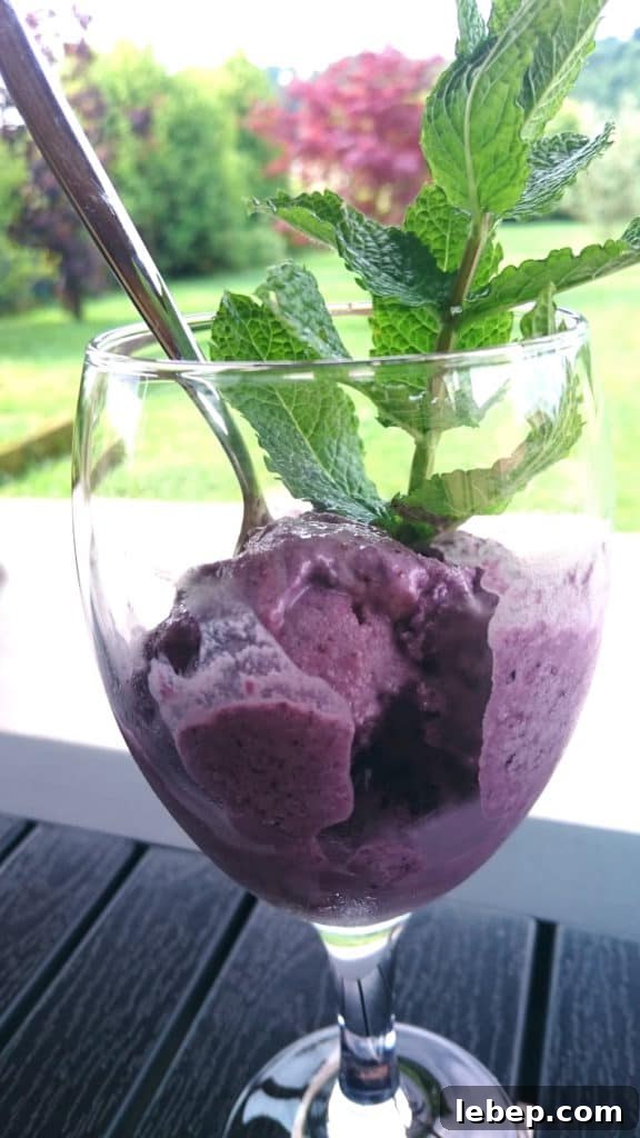 sugar free mulberry mint ice cream