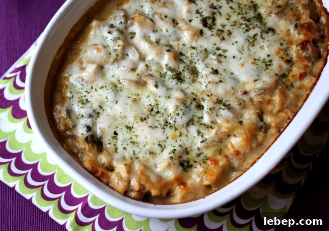 Turkey Tetrazzini