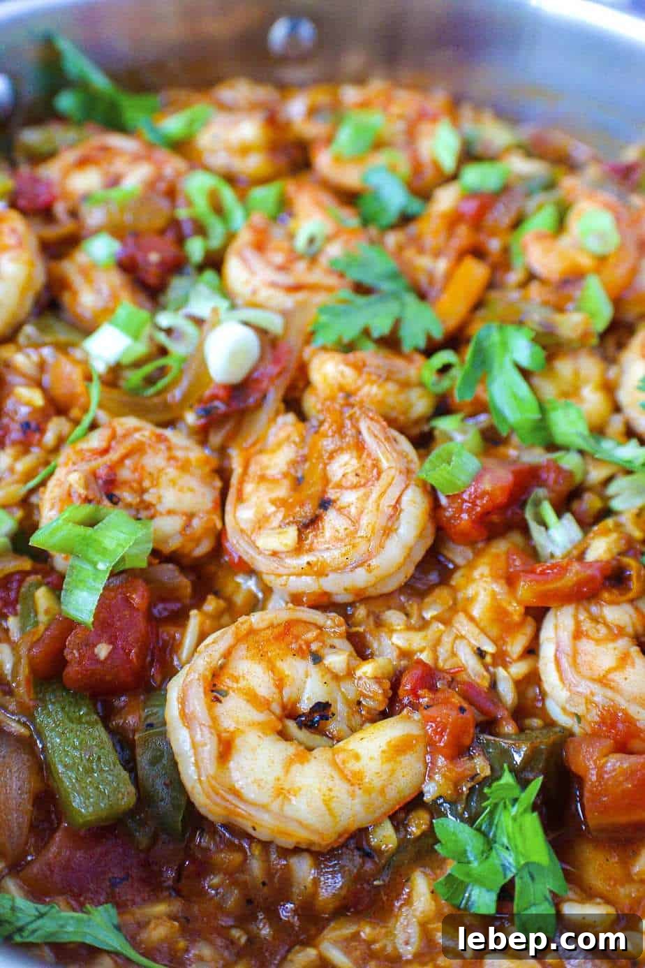 close up detail shot of cajun shrimp and rice skillet