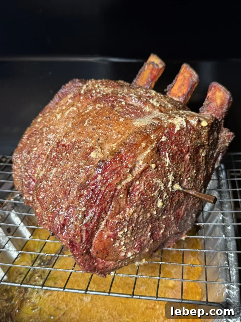 Smoked Prime Rib Roast: Juicy Recipe and Smoking Tips 6 prime rib in the pellet smoker