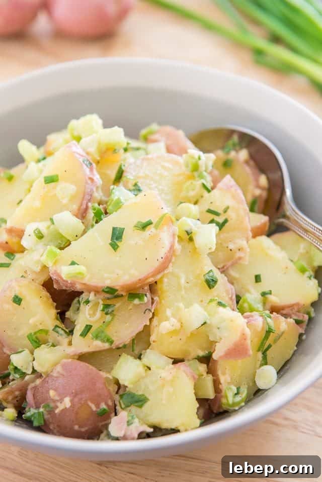 20+ Picnic and Potluck Salads That Stay Fresh and Travel Well 2 Red Potato Salad - In a Gray Bowl with Fresh Herbs and Scallions